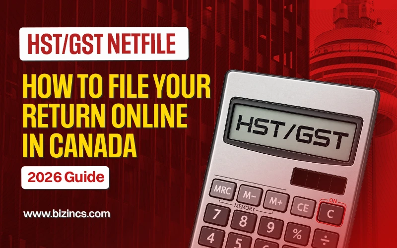 Gst netfile